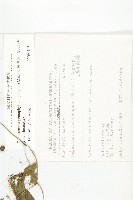 絞股藍藏品圖，第2張