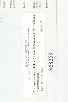 絞股藍藏品圖，第3張