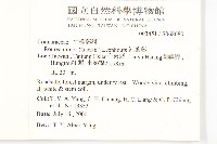 紅葉藤藏品圖，第2張