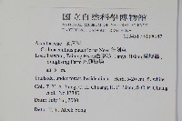 針刺草藏品圖，第2張