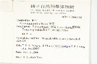 牡蒿藏品圖，第2張