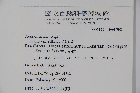 鐵冬青藏品圖，第2張