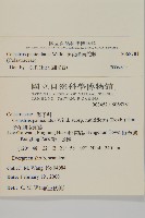 多花滇南蛇藤藏品圖，第2張