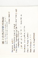 蘭嶼柿藏品圖，第2張