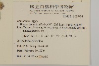 裂葉艾納香藏品圖，第2張