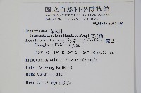 藍花楹藏品圖，第2張