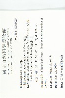 薯豆藏品圖，第2張