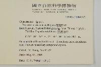 佩羅特木藏品圖，第2張