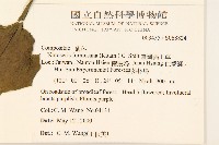 臺灣福王草藏品圖，第2張