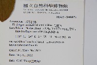 瓜馥木藏品圖，第2張