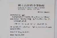 空心蓮子草藏品圖，第2張