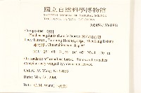 翼莖闊苞菊藏品圖，第2張