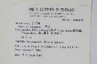 爵床藏品圖，第2張