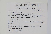 臺東漆樹藏品圖，第2張