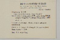 交趾衛矛藏品圖，第2張