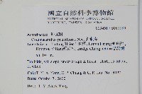 針刺草藏品圖，第2張