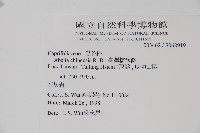 臺灣糯米條藏品圖，第2張