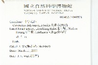 臭濱芥、臭薺藏品圖，第2張