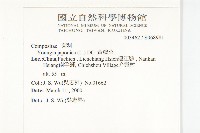 黃鵪菜藏品圖，第2張