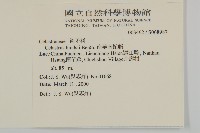 南華南蛇藤，青江藤藏品圖，第2張