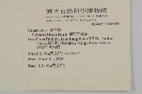 南華南蛇藤，青江藤藏品圖，第2張