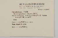 漆姑草藏品圖，第2張