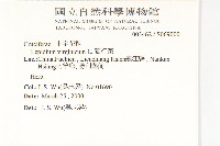 獨行菜藏品圖，第2張