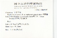 濱萊菔藏品圖，第2張