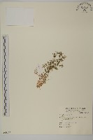 登錄號:S069067藏品圖，第1張