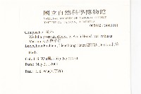 大天蓬草舅藏品圖，第2張