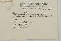 濱藜藏品圖，第2張