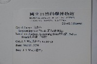 忍冬、金銀花藏品圖，第2張