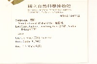 蟛蜞菊藏品圖，第2張