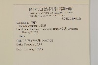 鱧腸藏品圖，第2張