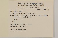 臺灣山白蘭藏品圖，第2張