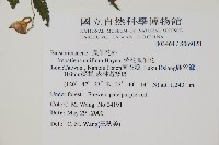 紫花鳳仙花藏品圖，第2張