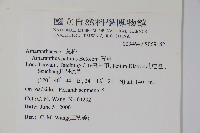 青莧藏品圖，第2張