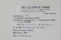 青莧藏品圖，第2張