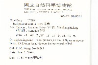 葶藶藏品圖，第2張