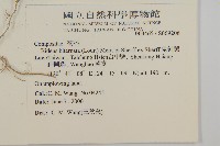 鬼針舅藏品圖，第2張