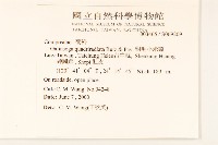 粗毛小米菊藏品圖，第2張