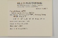 鵝兒腸藏品圖，第2張