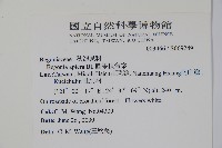 圓果秋海棠藏品圖，第2張