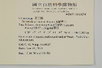 佩羅特木藏品圖，第2張