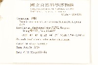 黃菀藏品圖，第2張