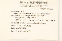 絲綿草藏品圖，第2張