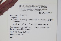 登錄號:S069345藏品圖，第2張