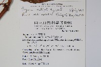 登錄號:S069346藏品圖，第2張