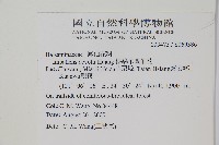 棣慕華鳳仙花藏品圖，第2張