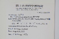 臺灣馬藍藏品圖，第2張